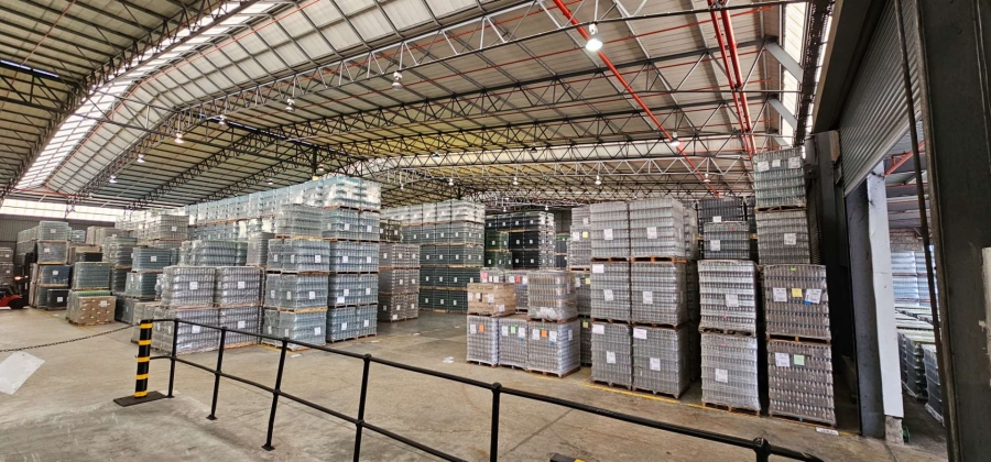 To Let commercial Property for Rent in Parow Industrial Western Cape